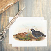 Mountain Quail - vogels Briefkaart