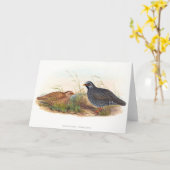 Mountain Quail - Vogels Kaart (Gele Bloem)