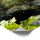 Mountain River Print (Hoek)