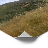 Mountain Road Poster (Hoek)