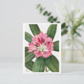 Mountain Roos Bay Rhododendron Vintage Briefkaart (Staand voorkant)