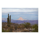Mountain Saguaro Foto Afdruk (Voorkant)
