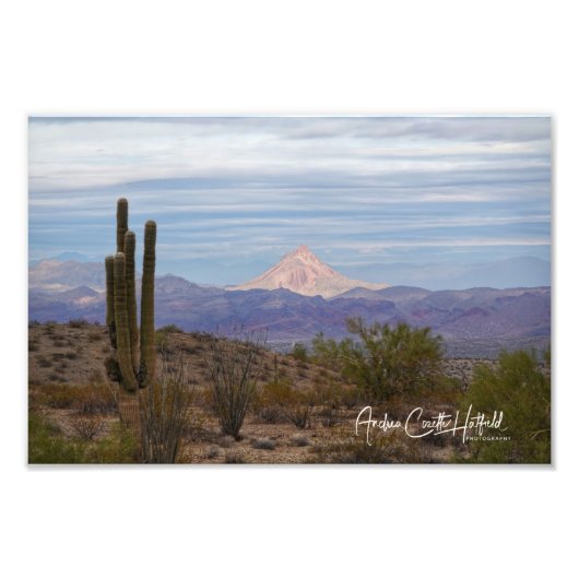 Mountain Saguaro Foto Afdruk (Voorkant)