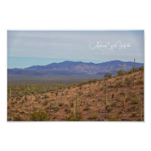 Mountain Saguaro Foto Afdruk