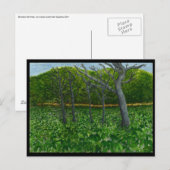 Mountain Serenity Postcard Briefkaart (Voorkant / Achterkant)