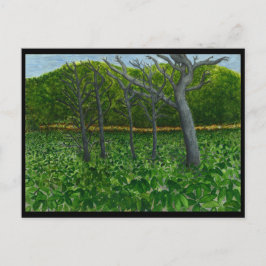 Mountain Serenity Postcard Briefkaart