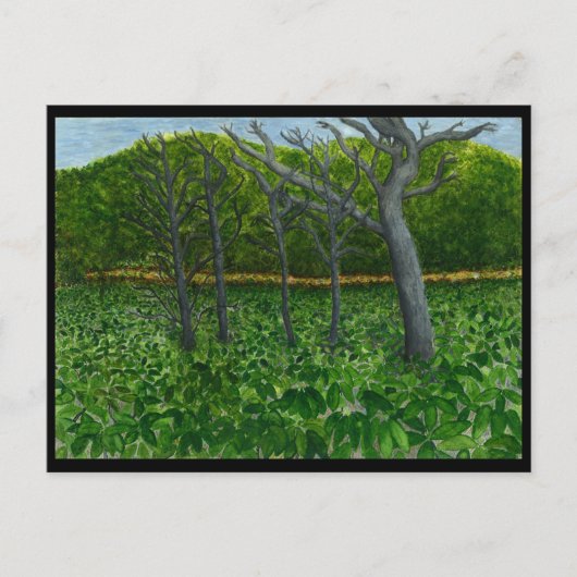 Mountain Serenity Postcard Briefkaart (Voorkant)