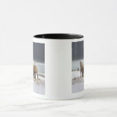 Mountain Sheep Mok (Midden)