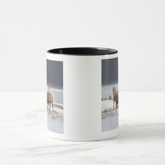 Mountain Sheep Mok (Midden)