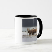 Mountain Sheep Mok (Voorkant rechts)