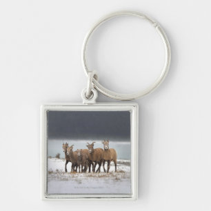 Mountain Sheep Sleutelhanger