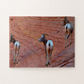 Mountain Sheep Utah Legpuzzel (Horizontaal)