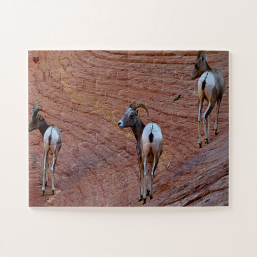 Mountain Sheep Utah Legpuzzel (Horizontaal)