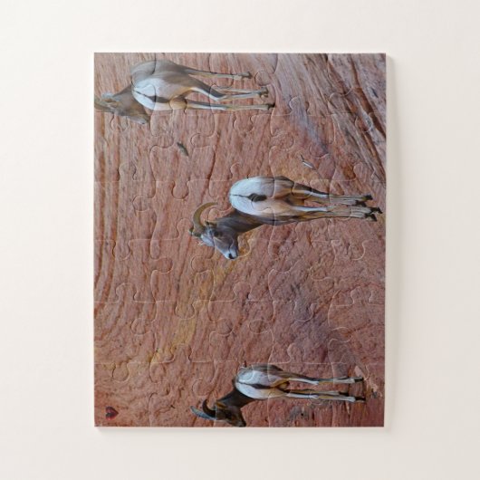 Mountain Sheep Utah Legpuzzel (Verticaal)