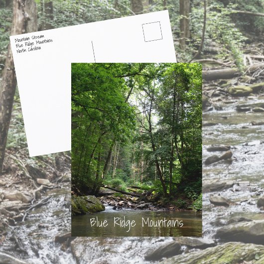 Mountain Stream Blue Ridge Mountains NC Briefkaart
