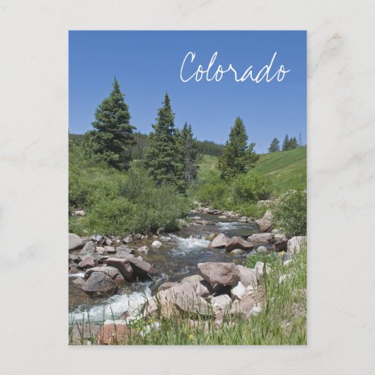 Mountain Stream Colorado Briefkaart (Voorkant)