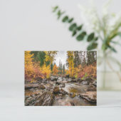 Mountain Stream in de herfst / Herfst Foto Briefkaart (Staand voorkant)