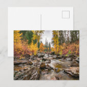 Mountain Stream in de herfst / Herfst Foto Briefkaart (Voorkant / Achterkant)