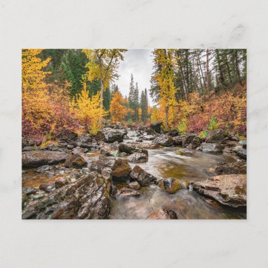 Mountain Stream in de herfst / Herfst Foto Briefkaart (Voorkant)
