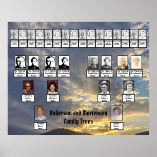 Mountain Sunset Golden Rays Foto Two Family Trees Poster