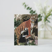 Mountain Tiger Briefkaart (Staand voorkant)