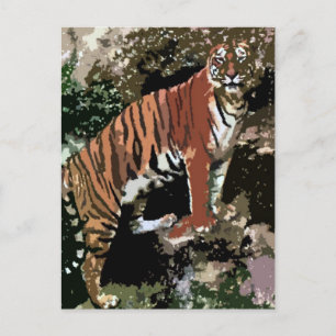 Mountain Tiger Briefkaart