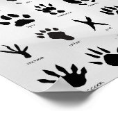 Mountain Tracks Poster (Hoek)