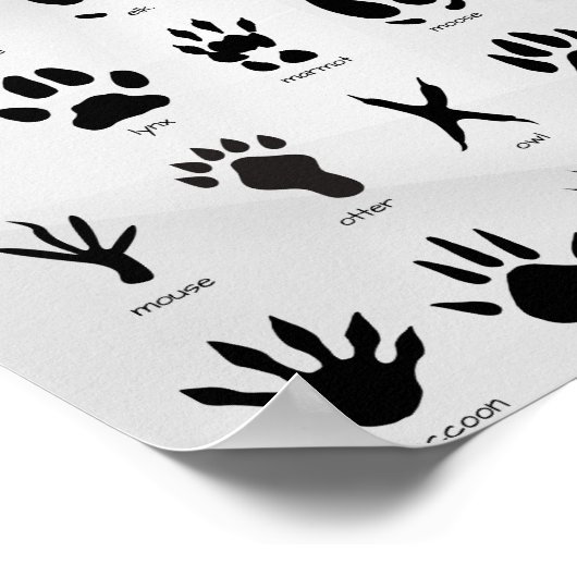 Mountain Tracks Poster (Hoek)