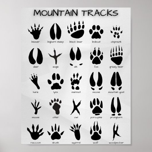 Mountain Tracks Poster (Voorkant)