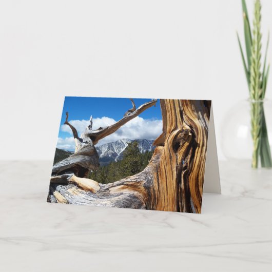 Mountain Tree Blank Inside All Occasion Groet Kaart (Voorkant)