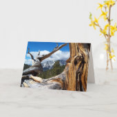 Mountain Tree Blank Inside All Occasion Groet Kaart (Gele Bloem)