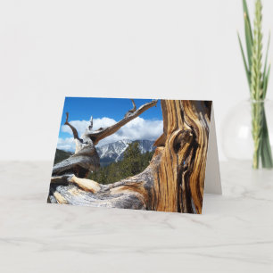 Mountain Tree Blank Inside All Occasion Groet Kaart