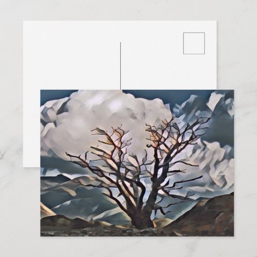 MOUNTAIN TREE BRIEFKAART (Voorkant / Achterkant)