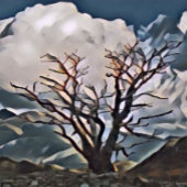 MOUNTAIN TREE FOTOBLOKKEN