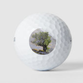 MOUNTAIN TREE GOLFBALLEN (Voorkant)