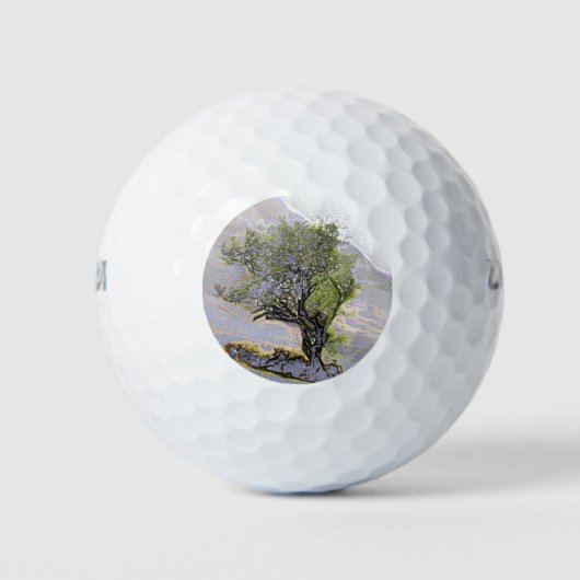 MOUNTAIN TREE GOLFBALLEN (Voorkant)