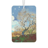 MOUNTAIN TREE LUCHTVERFRISSER (Achterkant)