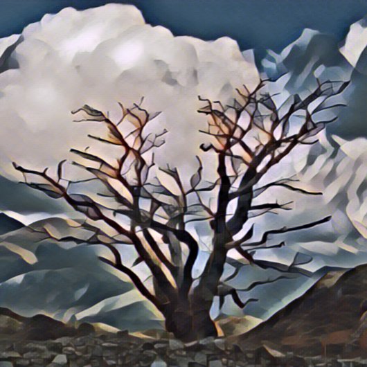 MOUNTAIN TREE PICKLEBALL PADDLE