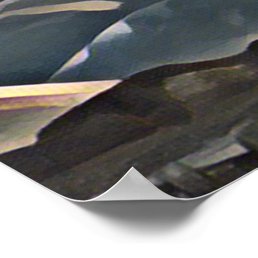 MOUNTAIN TREE POSTER (Hoek)