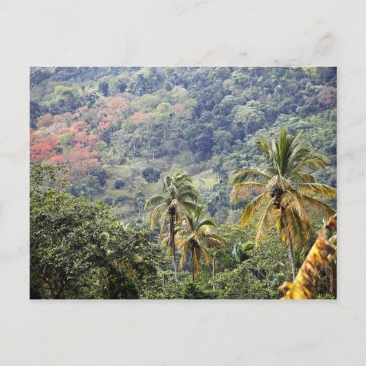 Mountain uitzicht, Dominicaanse Republiek. Briefkaart (Voorkant)