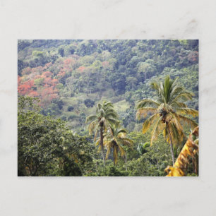 Mountain uitzicht, Dominicaanse Republiek. Briefkaart
