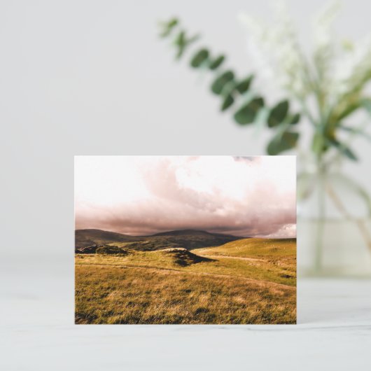 MOUNTAIN UITZICHTEN, WALEN BRIEFKAART (Staand voorkant)