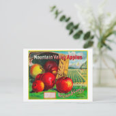 Mountain Valley Apple LabelHamilton, MT Briefkaart (Staand voorkant)
