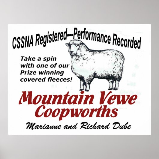 Mountain Vewe Coopworth Poster (Voorkant)