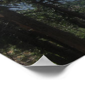 Mountain Vista Poster (Hoek)