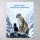 Mountain Whiskers: Felini ontmoet de sneeuwluipaar Poster (Voorkant)