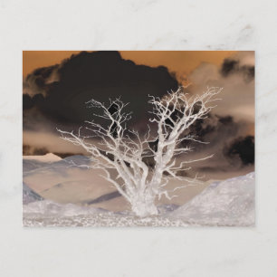 MOUNTAIN WINTER BRIEFKAART