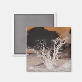 MOUNTAIN WINTER MAGNEET (Voorkant / Achterkant)