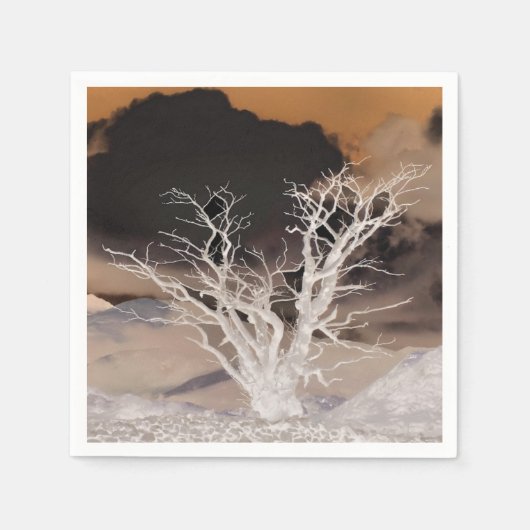 MOUNTAIN WINTER SERVET (Voorkant)