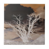 MOUNTAIN WINTER TEGELTJE (Voorkant)